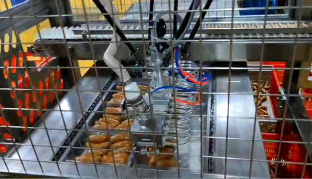 奥楷香肠自动包装生产线